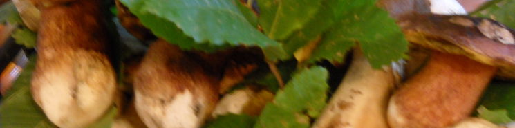 DSCN0439.JPG